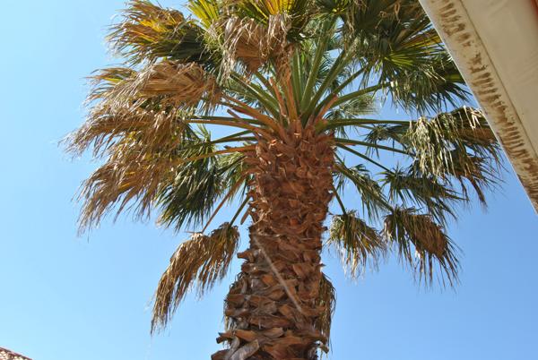 Maison 6 pièces - 112 m² Exclusivité efficity