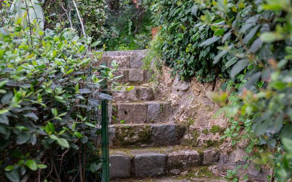 Maison à vendre    5 pièces • 280 m2 Cannes