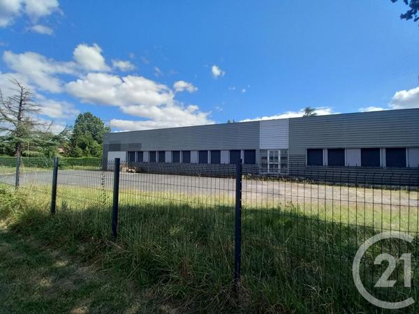 Maison à vendre  1 pièce - 800 m2 GRAULHET - 81