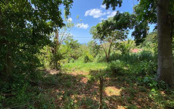 Terrain à vendre    Case-Pilote