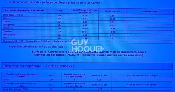 Appartement Lyon 3 pièces 75 m2