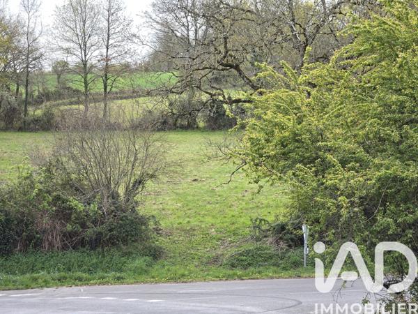 Maison à vendre 4 pièces 84 m² Queaux