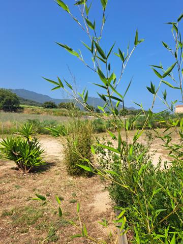 Maison 7 pièces - 145 m²