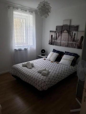 Location Appartement 3 pièces 65 m2 à Vierzon