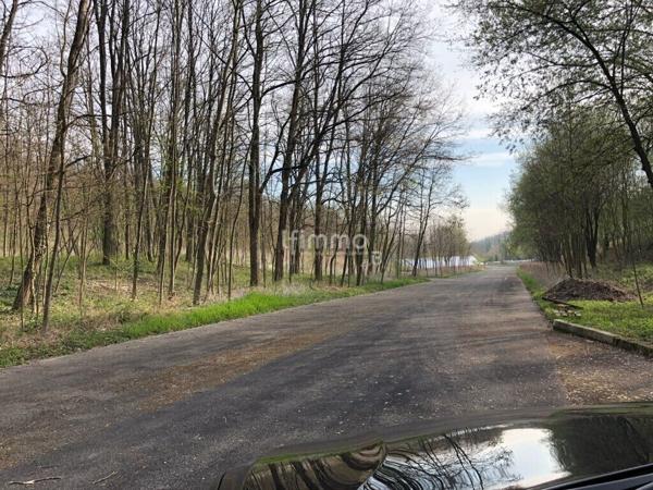 Terrain naturel de loisirs de 8 hectares environs à Rixheim