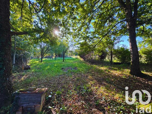 Terrain à vendre 1 504 m² Alligny-Cosne