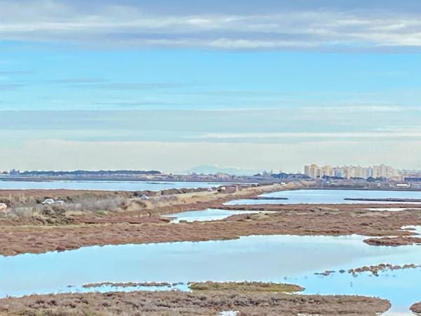 Palavas-les-Flots (34250) Palavas les flots T2 + mezzanine 59 m2 utiles- Résidence sécurisée avec piscine