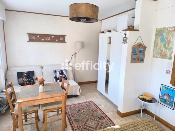 Appartement 1 pièce - 30 m² Exclusivité efficity