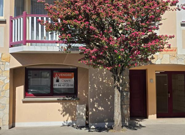 Centre ville, 60 m2 modulables, parking et cave