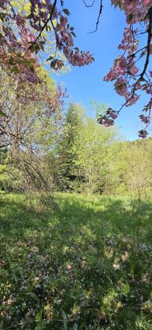 Bien brut, idéal pour tout projet