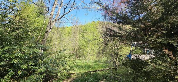 Bien brut, idéal pour tout projet