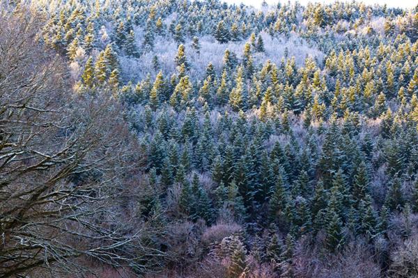 Terrain Violay  830 m2, viabilisé avec belle vue dégagée