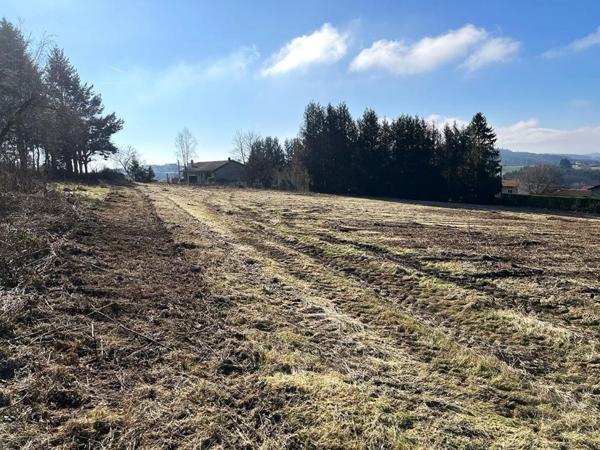 Terrain Violay  830 m2, viabilisé avec belle vue dégagée