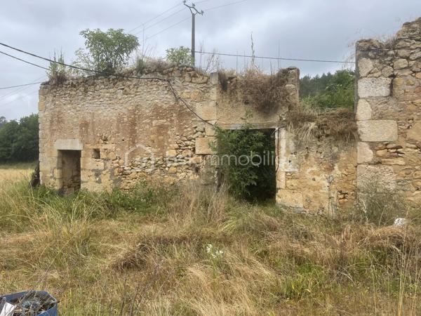 Maison d'environ 65 m2 à rénover sur presque 3 000 m2 de terrain avec possibilité d'acheter un peu plus.
4 bâtiments cadastrés.
Une ancienne maison périgourdine de 2 pièces avec cheminée à foyer ouvert et combles. Les dites combles ne seront pas aménageables sans réhaussement de toiture.
Toiture à refaire.

Accord du grand périgueux pour la rénovation de la maison avec agrandissement jusqu'à 60 m2 d'emprise au sol. Accord pour ajouter un étage, ce qui peut faire une augmentation d'environ 100 m2 de plancher.

Grange d'au moins 150 m2 au total, un ancien séchoir à viande et un quatrième bâtiment. 
ATTENTION, LOURDS TRAVAUX, RENOVATION COMPLETE A FAIRE
Compteur électrique à changer.

Diags ok, Rien à signaler.

Un seul voisin qui peut très bien ne pas être visible puisque placé derrière.
Ruisseau tout proche avec ancien lavoir construit sur la source. Pour aller s'y promener, il est accessible par des chemins en partant de la maison.
Endroit de baignade au change à 4 minutes top chrono en voiture!

De la pierre, magnifique pierre à rénover!

Appelez-moi vite!