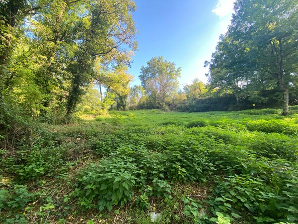 Terrain 7131 m2