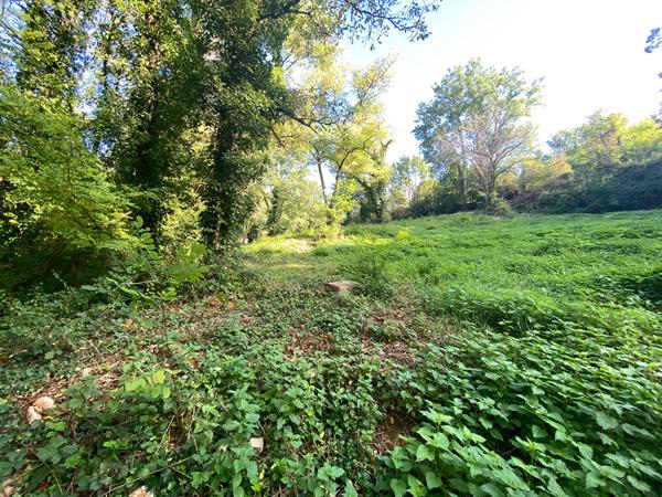 Terrain 7131 m2