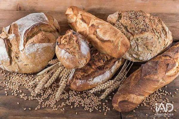 Boulangerie à vendre 100 m² Ury