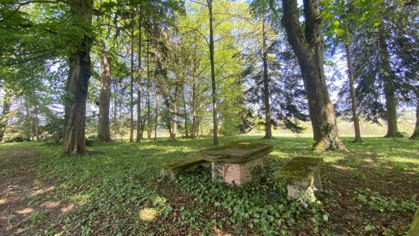 Chimilin (38490) Maison de 580m2 sur 13 234 m2 de terrain