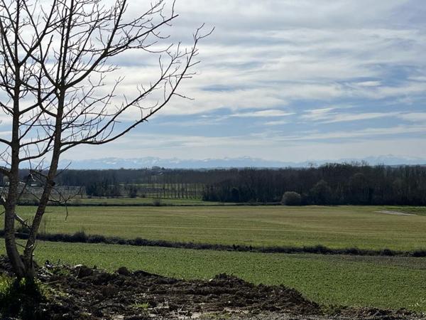 Appartement à louer |  Donzacq |  1 pièce | 24 m²