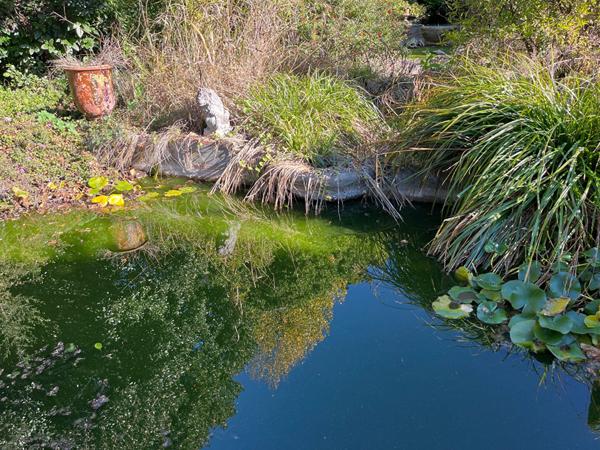 Magnifique Villa 514m² et 3410m² terrain Vence vue mer