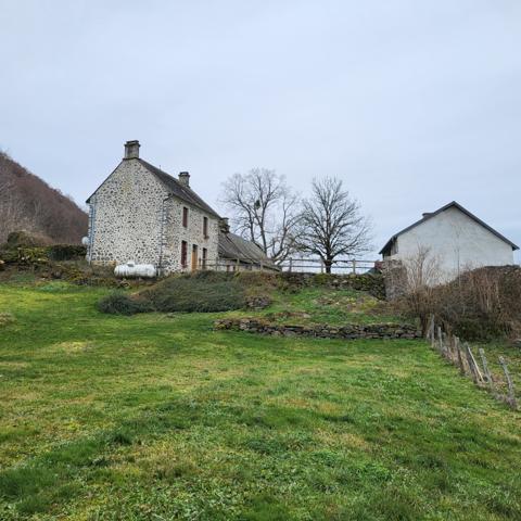 Bel ensemble immobilier Valette (15400)