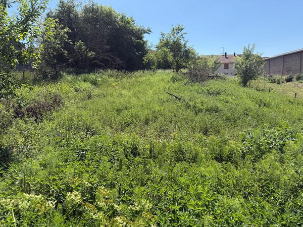 Maison de village 2650 m2
