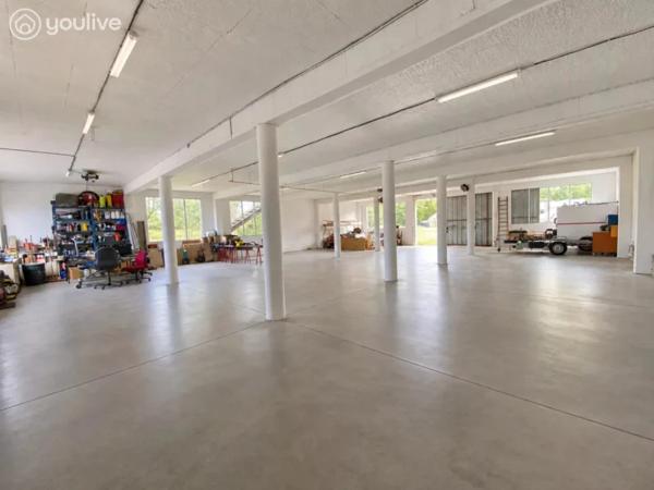 MAISON DPE A, ATELIERS, LOCAL PROFESSIONNEL ET ÉTANG
