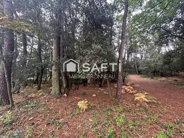 Opportunité rare sur le secteur