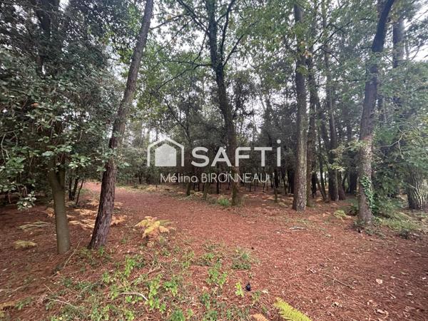 Opportunité rare sur le secteur