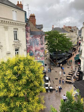 Appartement Angers 3 pièces 55 m²