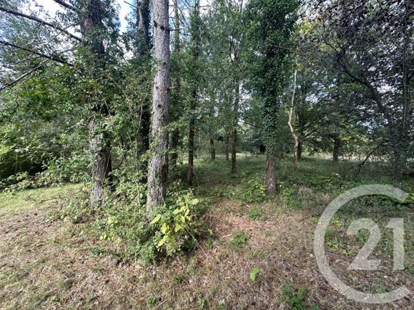 Maison à vendre  4 pièces - 72 m2 SOUVIGNY EN SOLOGNE - 41