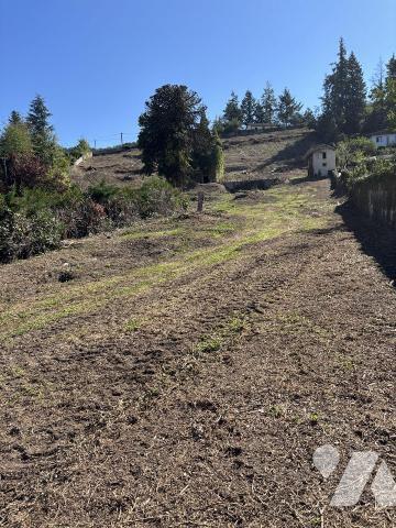 Unique à AUREC SUR LOIRE