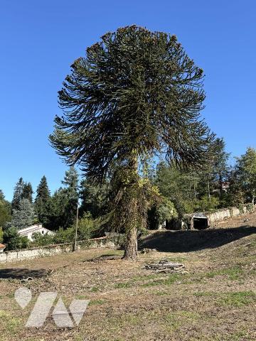Unique à AUREC SUR LOIRE