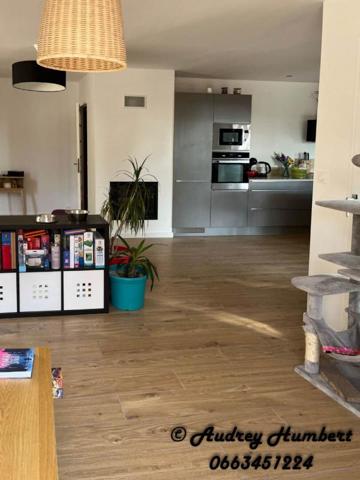 PIERREVERT, dans un environnement calme et verdoyant, Jolie VILLA de plain pied, 120 m² avec piscine et  garage sur 2500 m² de terrain