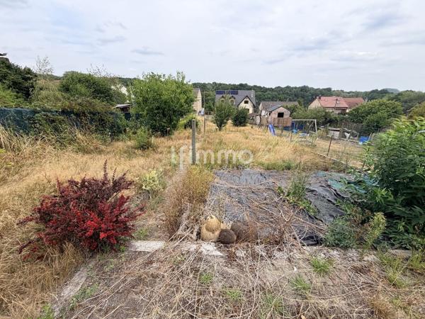 Vente maison à l'Hopital 57490