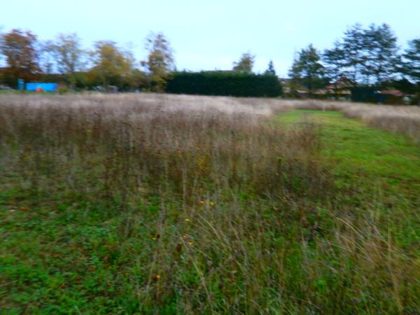 TERRAIN A BATIR DE 934 M2 VIABILISIER LIBRE Reuilly (36260)