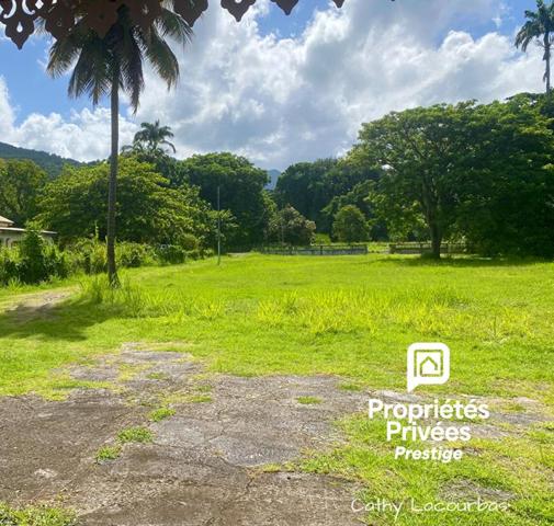 Terrain viabilisé 10000 m2 constructible accès littoral- Pointe Noire -Guadeloupe