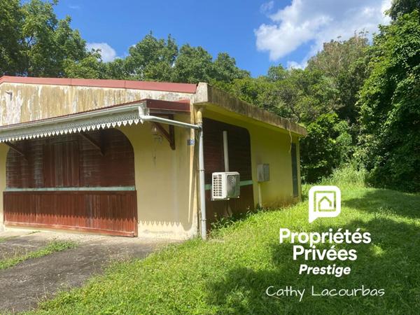 Terrain viabilisé 10000 m2 constructible accès littoral- Pointe Noire -Guadeloupe