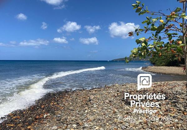 Terrain viabilisé 10000 m2 constructible accès littoral- Pointe Noire -Guadeloupe