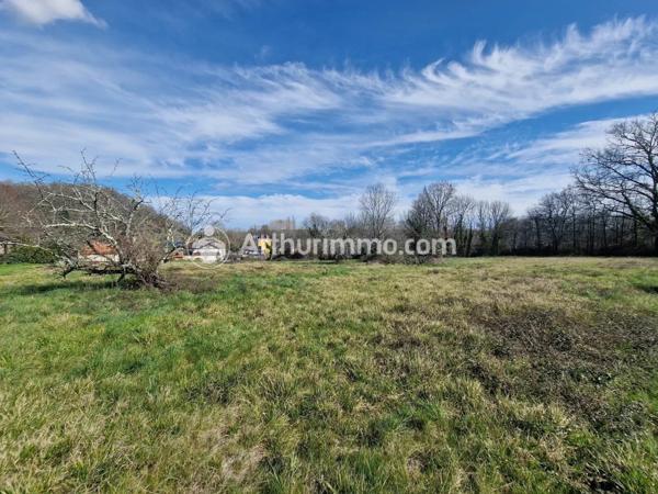 Vente Terrain 3910 m2 à Neuvic