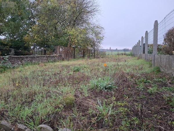 Maison à vendre à Auchel dans le Pas-de-Calais (62260), ref : 62050-1746