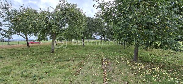 Maison en pierre de 158 m²