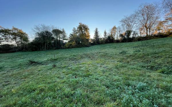 Terrain à vendre    Puylaurens