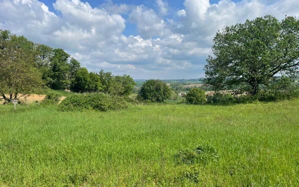 Terrain à vendre    Puylaurens