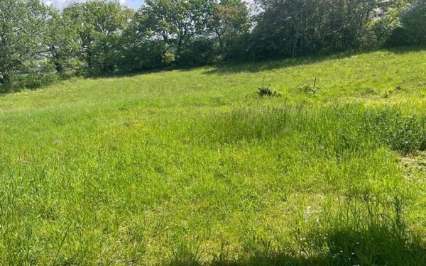 Terrain à vendre    Puylaurens