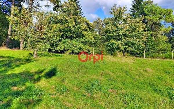 Maison à vendre    4 pièces •  Elven