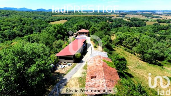 Maison à vendre 6 pièces 236 m² Montesquieu-Volvestre