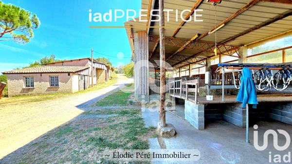 Maison à vendre 6 pièces 236 m² Montesquieu-Volvestre