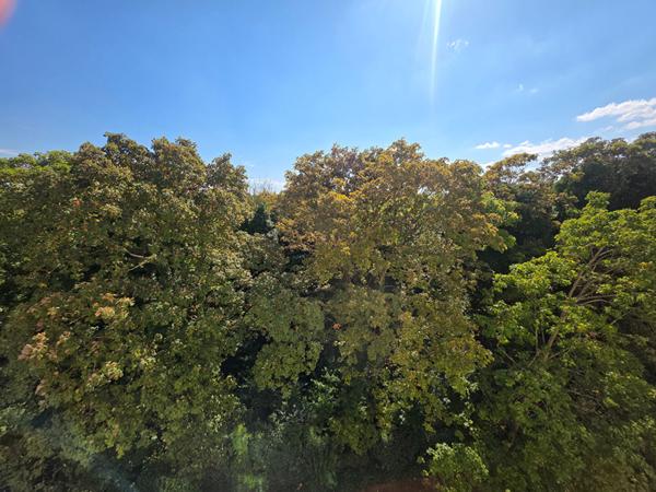 Appartement dernier étage rénové