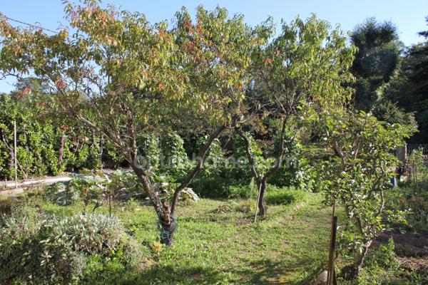 Maison à vendre 6 pièces ASTE (65)